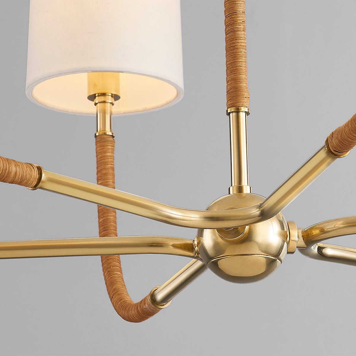 Hudson Valley Webson Chandelier Lighting hudson-valley-3534-AGB