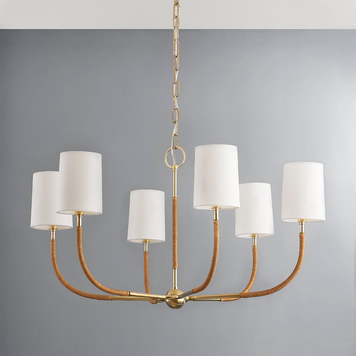 Hudson Valley Webson Chandelier Lighting hudson-valley-3534-AGB