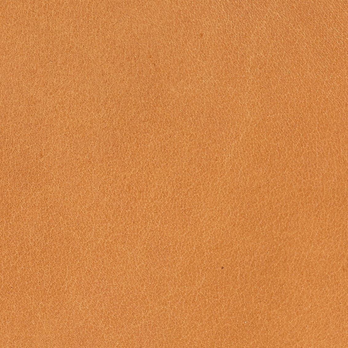 Jamie Young Co. Alessa Sling Chair Furniture