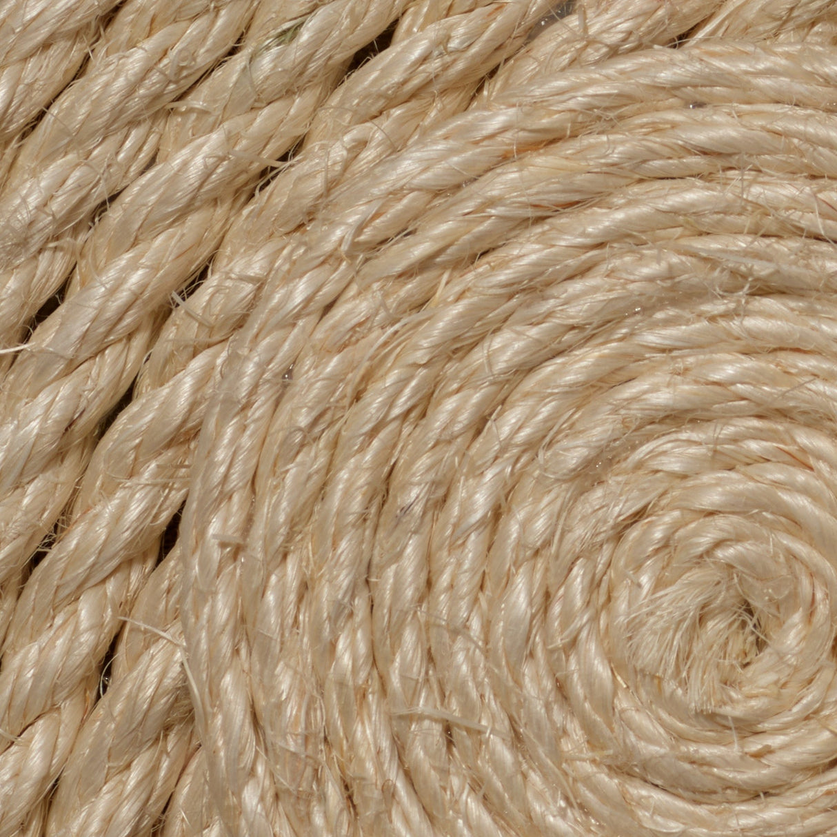 Jamie Young Co. Barbados Small Wall Art Wall jamie-young-8BARB-SMWAWH