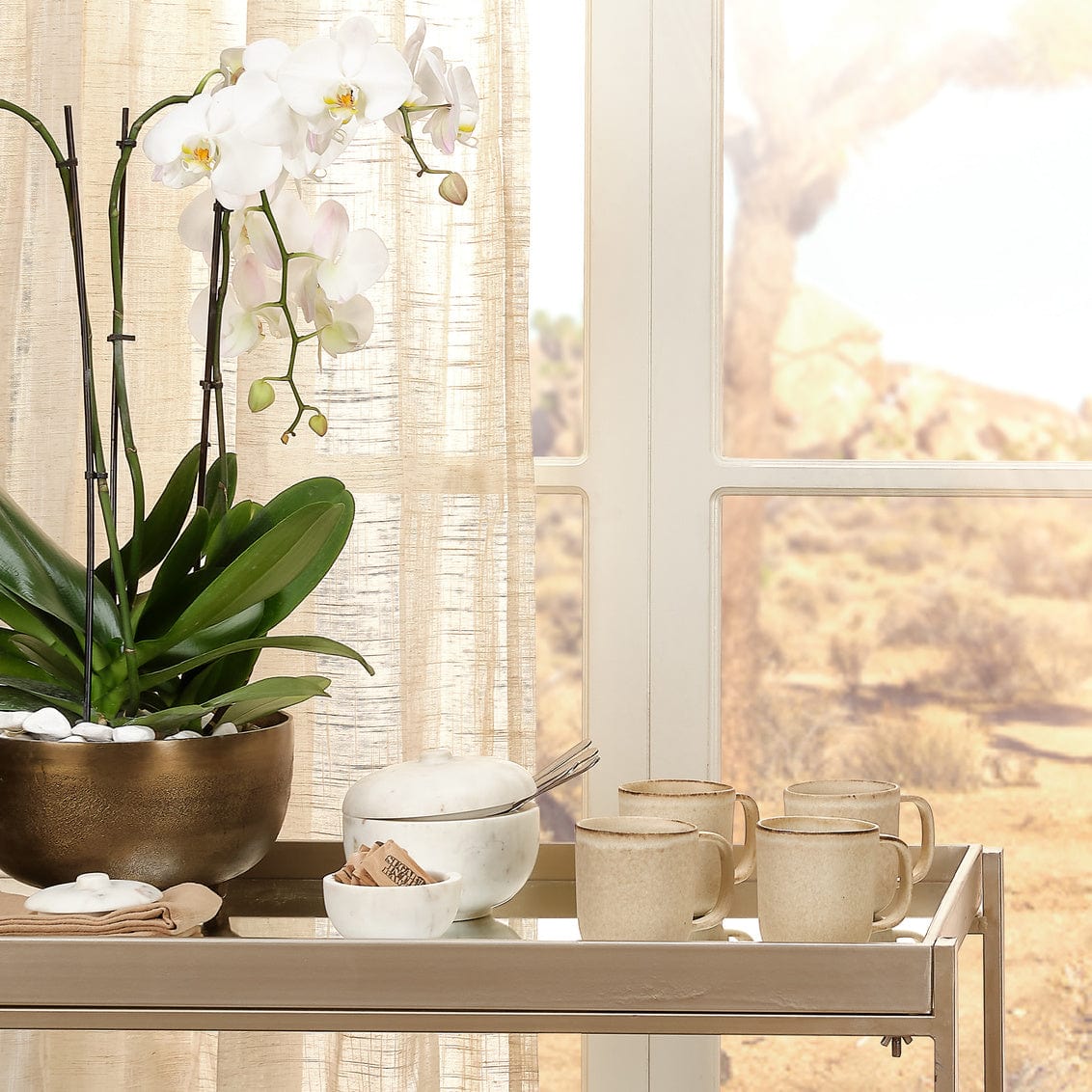 Jamie Young Co. Bennett Storage Bowl w/ Lid Pillow & Decor