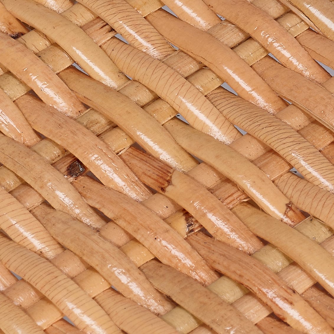 Jamie Young Co. Hibiscus Arm Chair Furniture