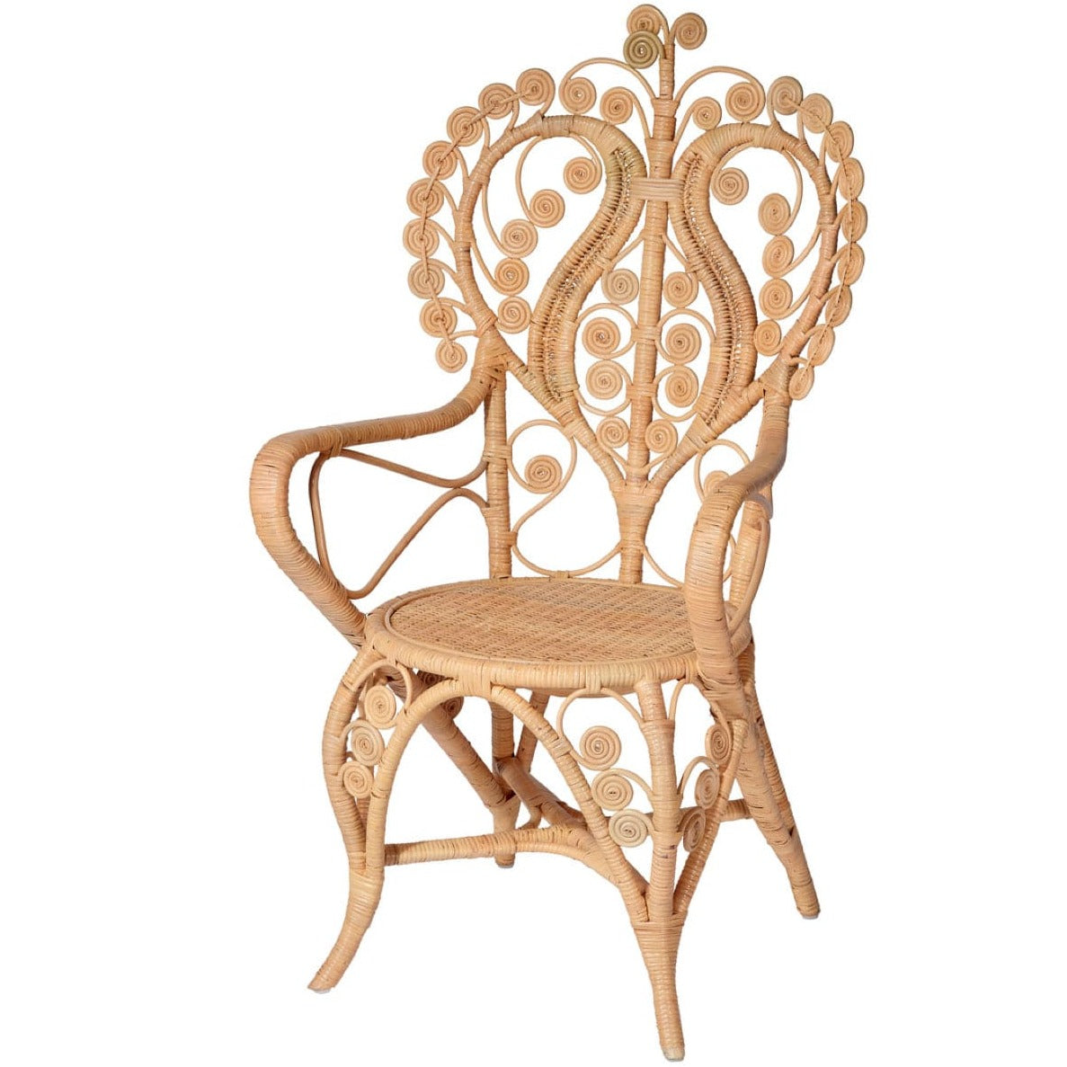Jamie Young Co. Hibiscus Arm Chair Furniture