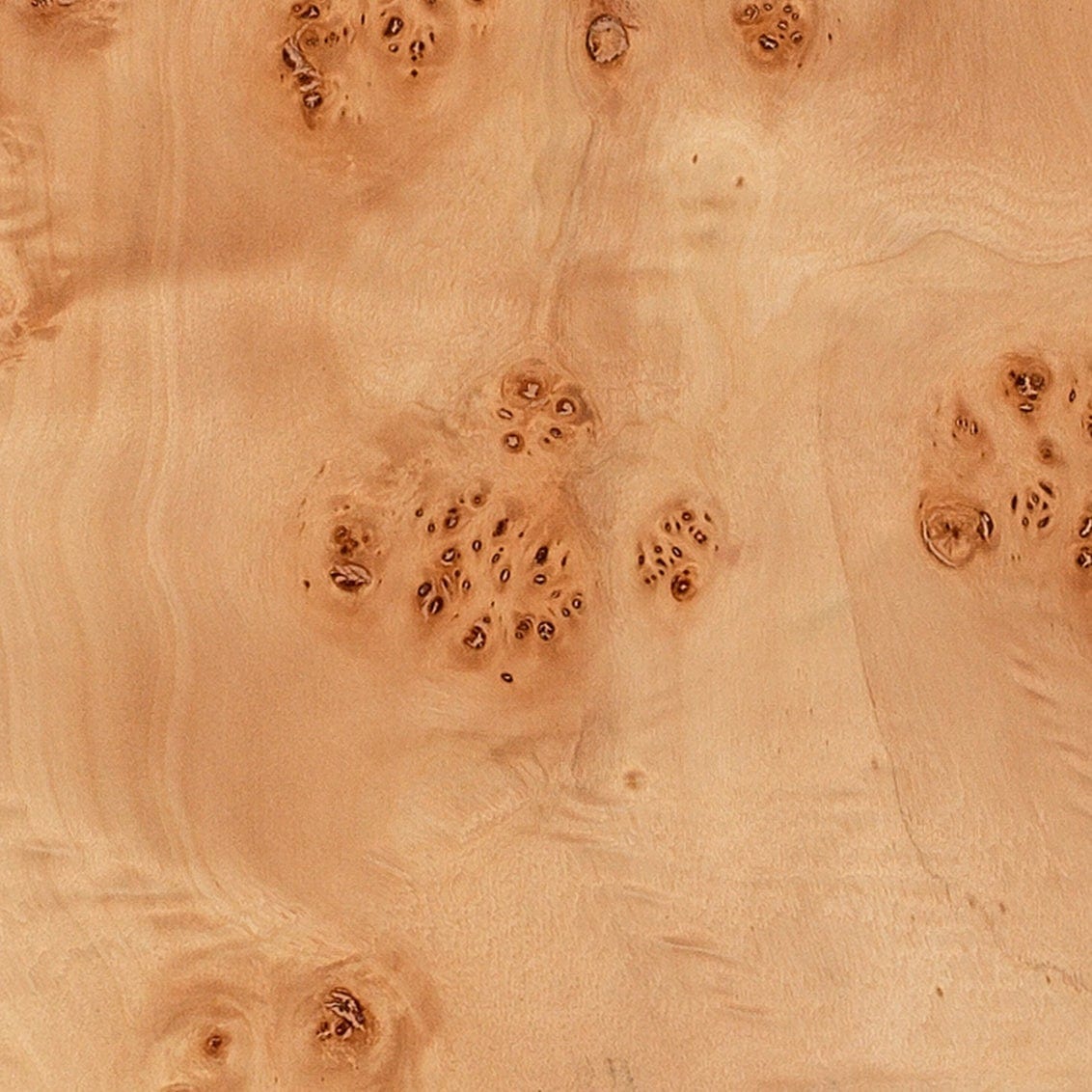 Jamie Young Co. Parallel Floor Lamp Lamps jamie-young-1PARALL-FLNA