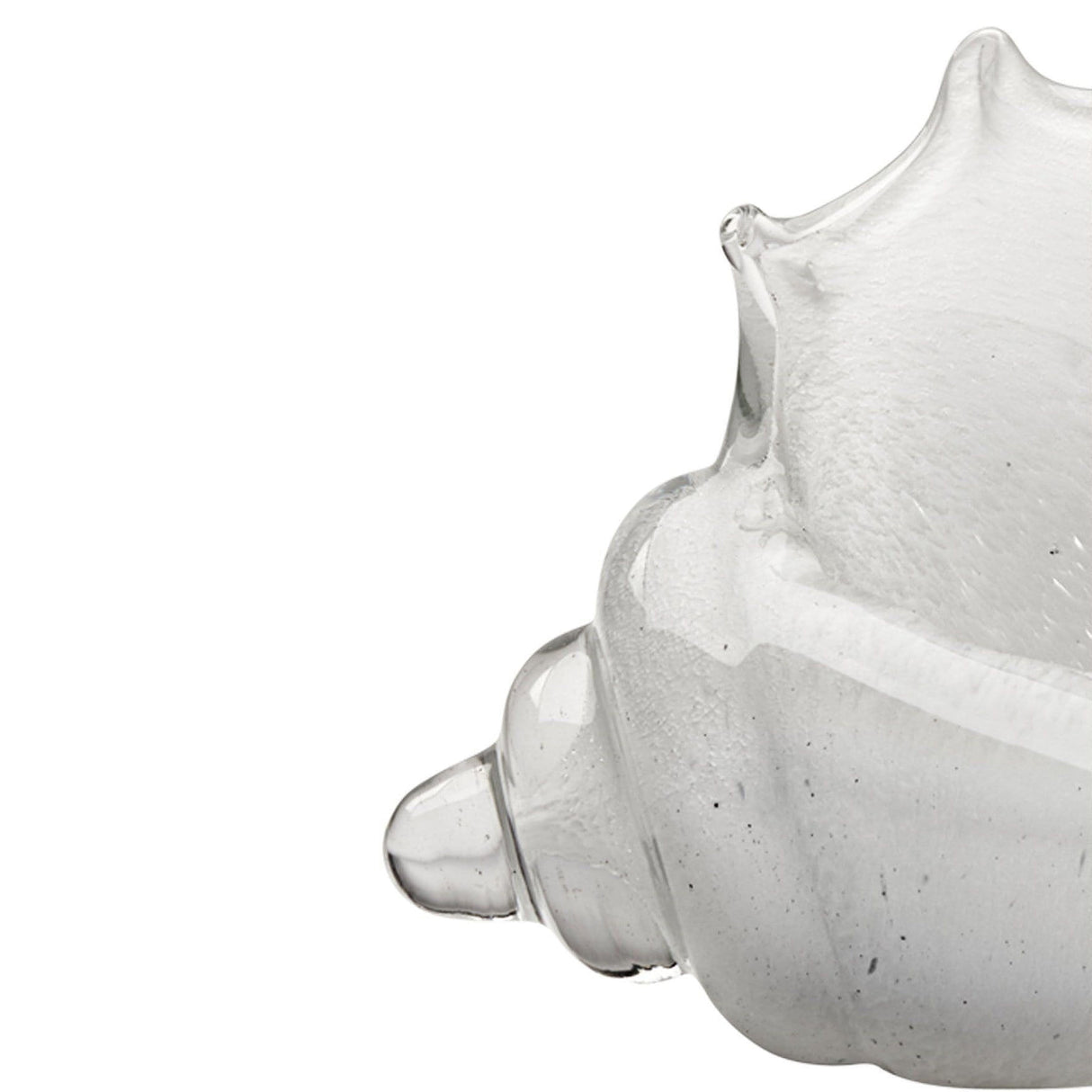 Jamie Young Co. Triton Shell Decor