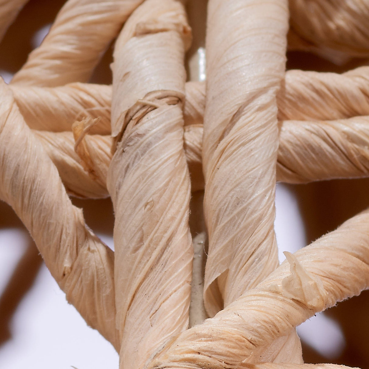 Jamie Young Maui Table Lamp Lighting jamie-young-9MAUITLNAT 688933036107