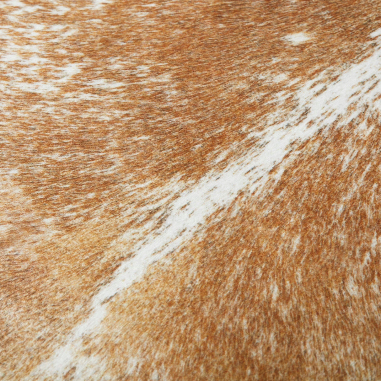 Loloi Floor Pillow - Beige/White Pillow & Decor loloi-FL01FP0002BEWHFL36 885369566004