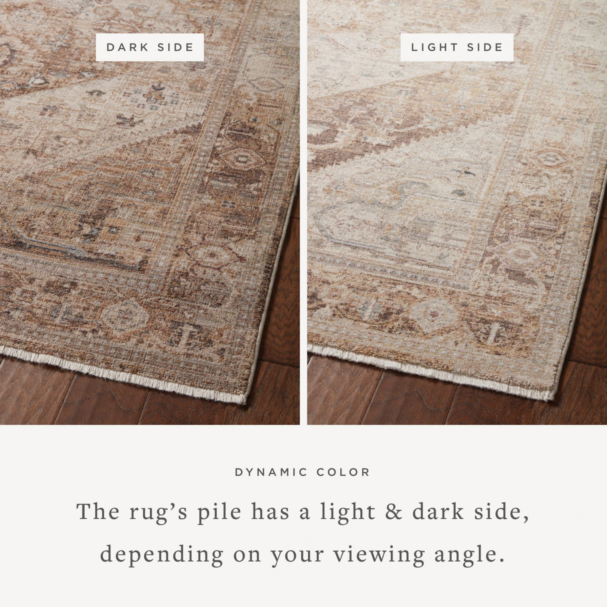 Loloi Lyra Rug - Natural/Mocha Rugs