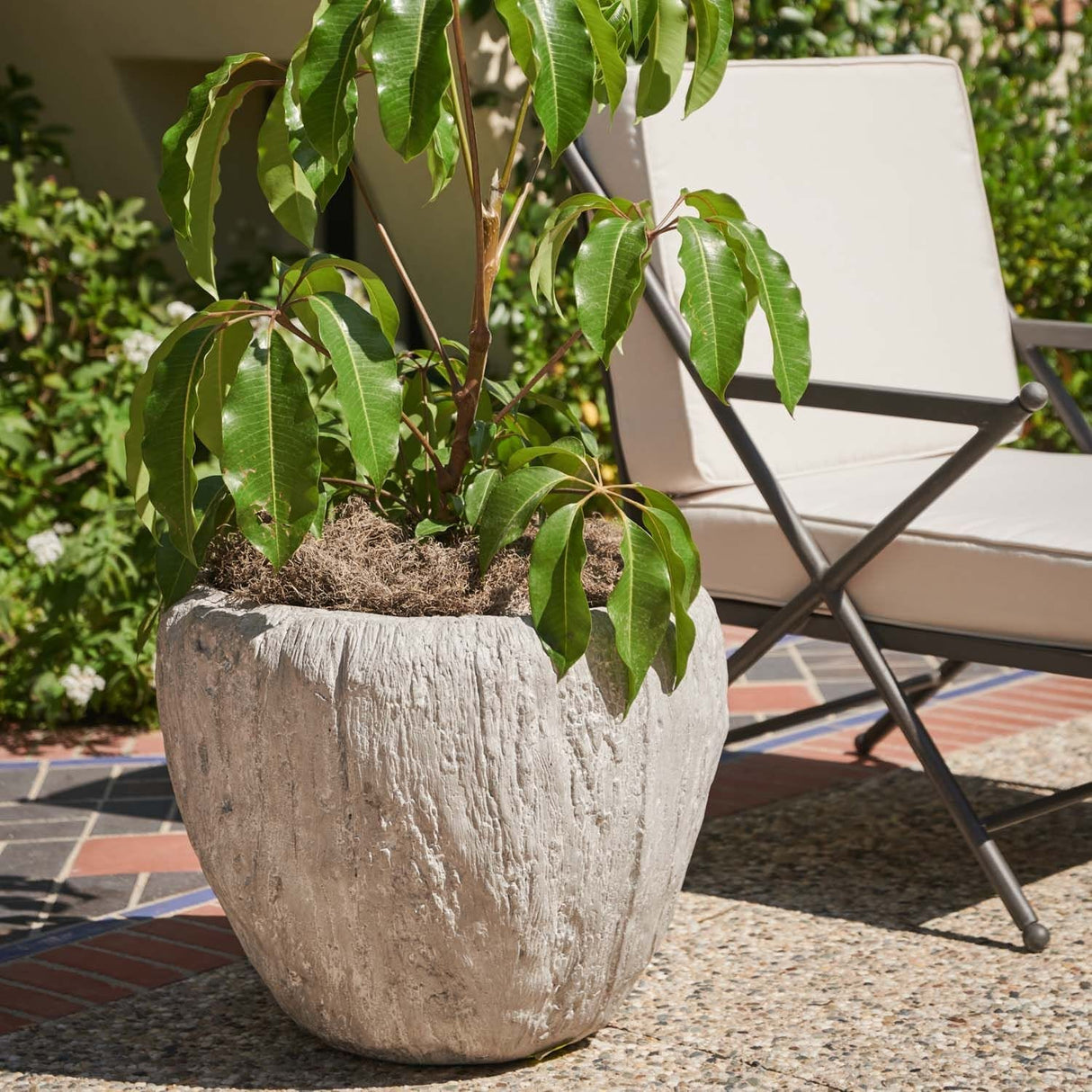 Made Goods Cedrus Planter Outdoor