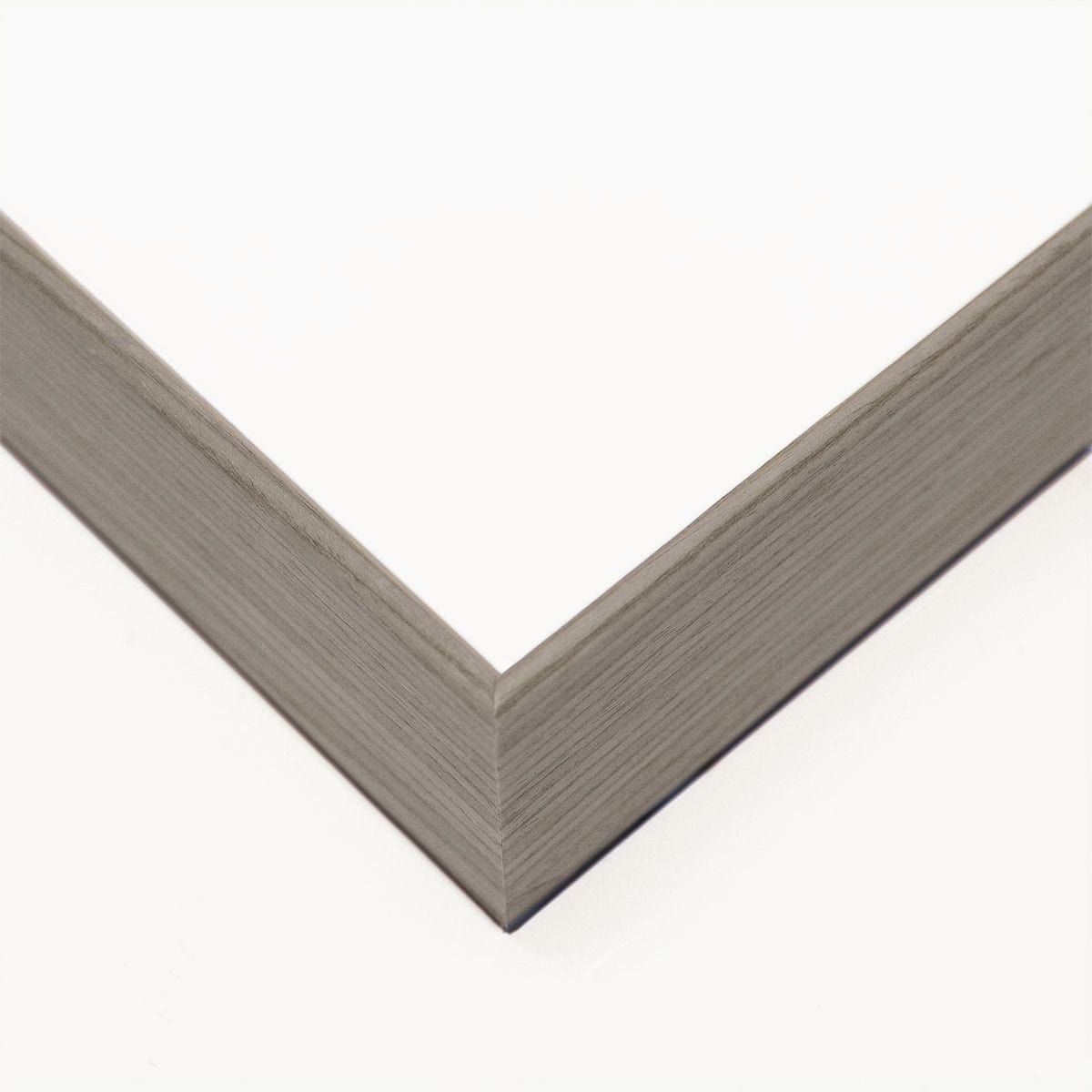 Natural Curiosities Amate Paper Art