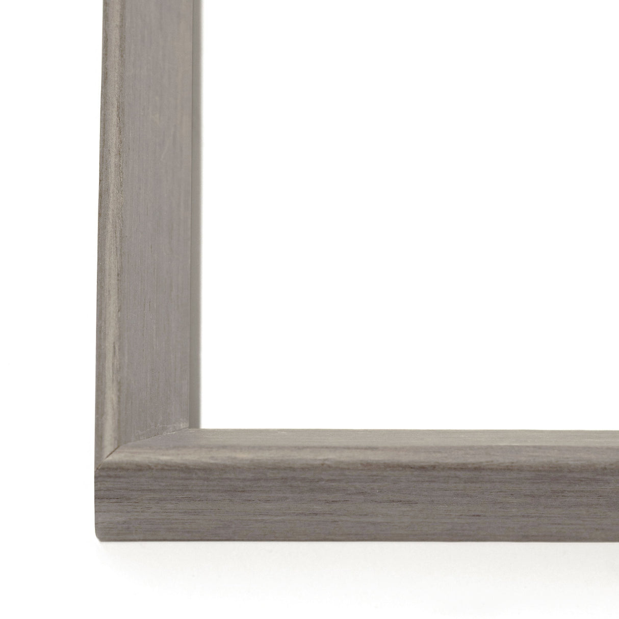 Natural Curiosities Amate Paper Art