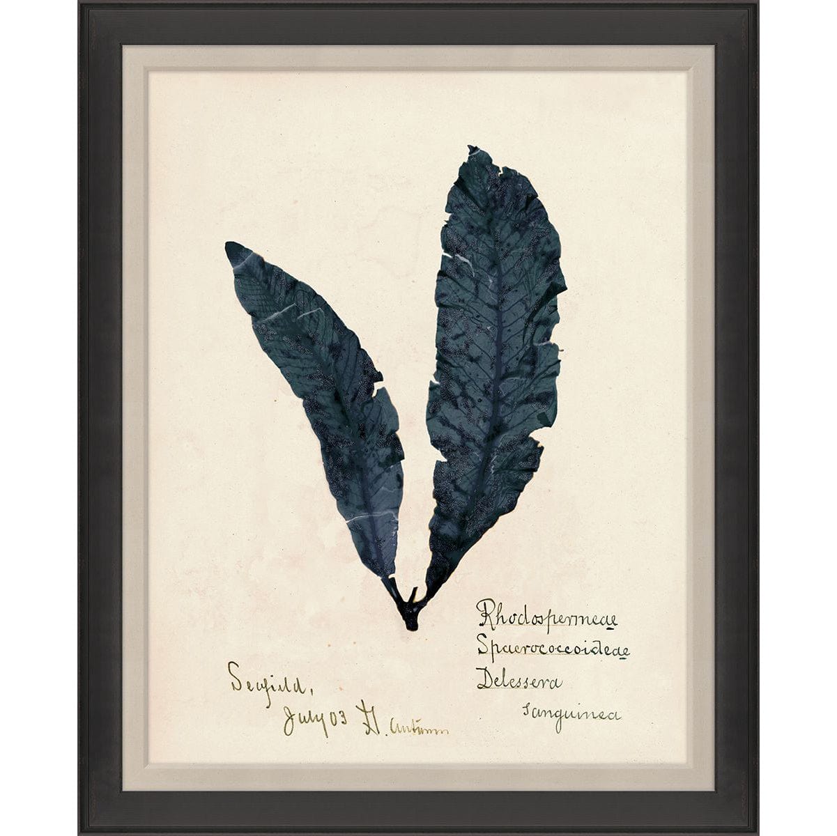 Natural Curiosities Capistrano Saudi Blue 2 Pillow & Decor Natural-Curiosities-Capistrano-Saudi-Blue-2-wood-frame