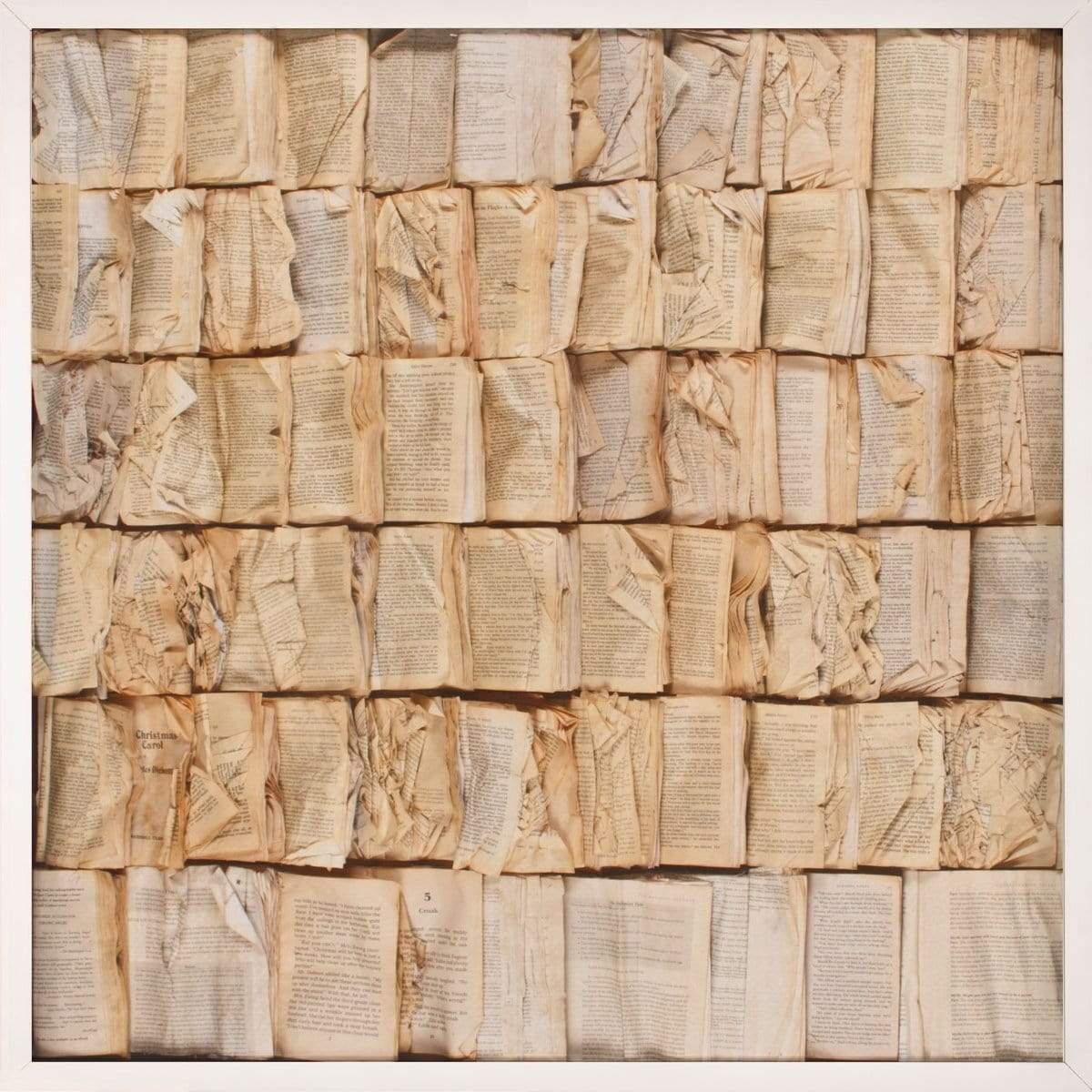 Natural Curiosities Cooking the Books Wall natural-curiosities-cooking-the-books-white-shadowbox