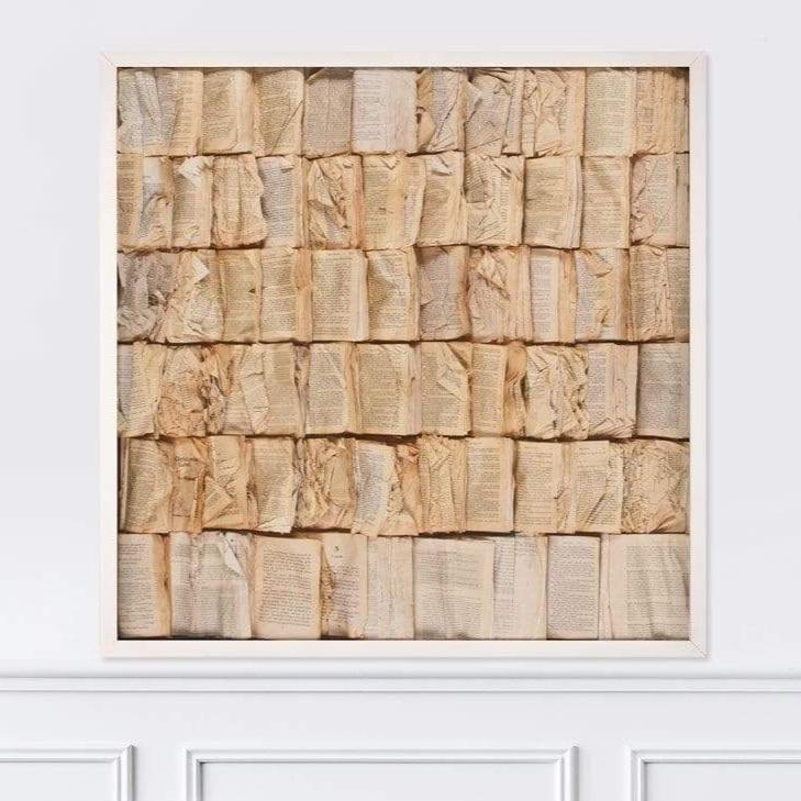 Natural Curiosities Cooking the Books Wall natural-curiosities-cooking-the-books-white-shadowbox