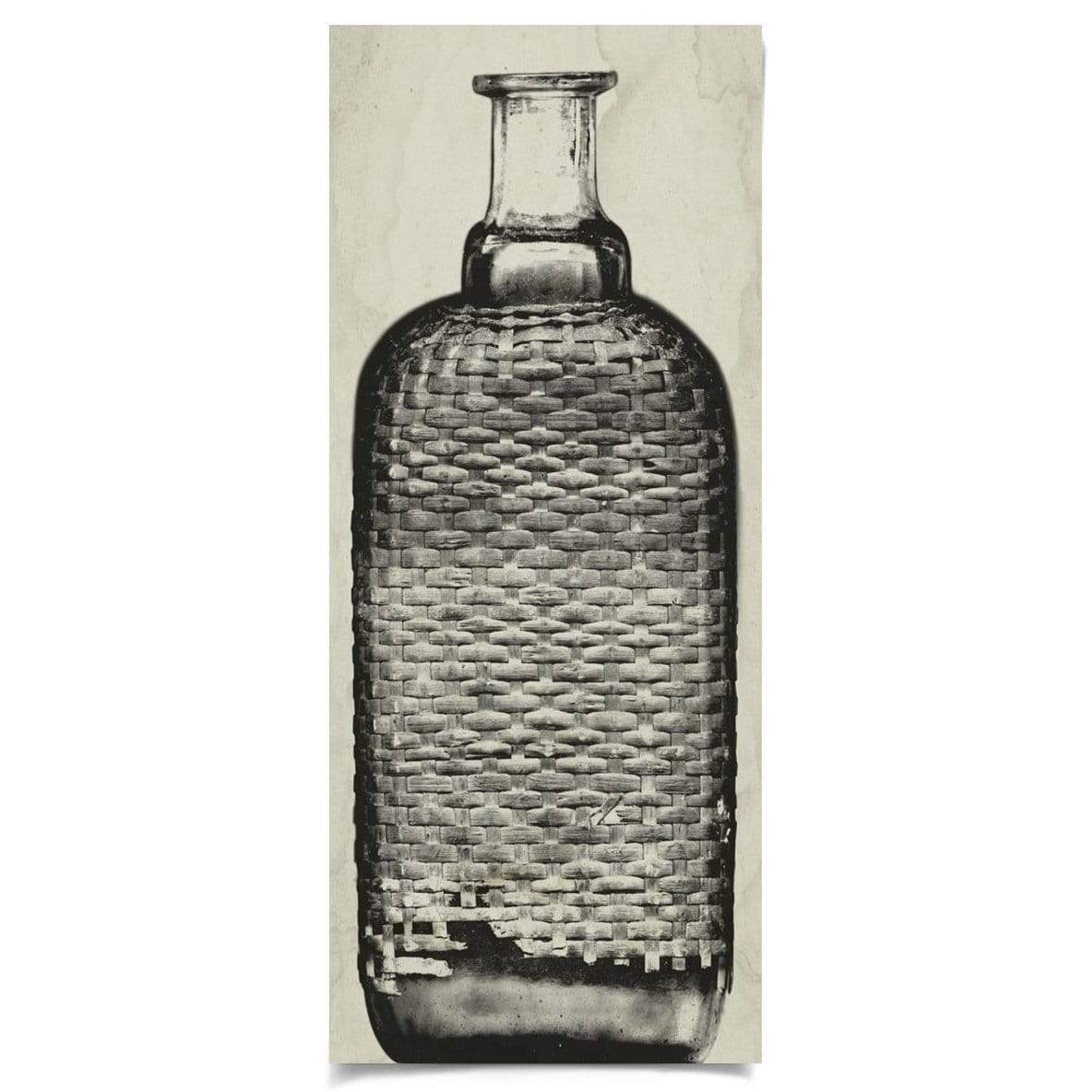 Natural Curiosities Copper Bottle 3 Pillow & Decor