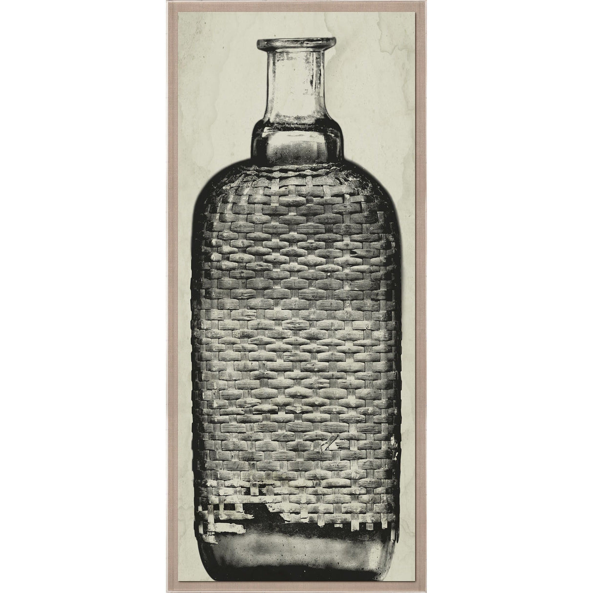 Natural Curiosities Copper Bottle 3 Pillow & Decor