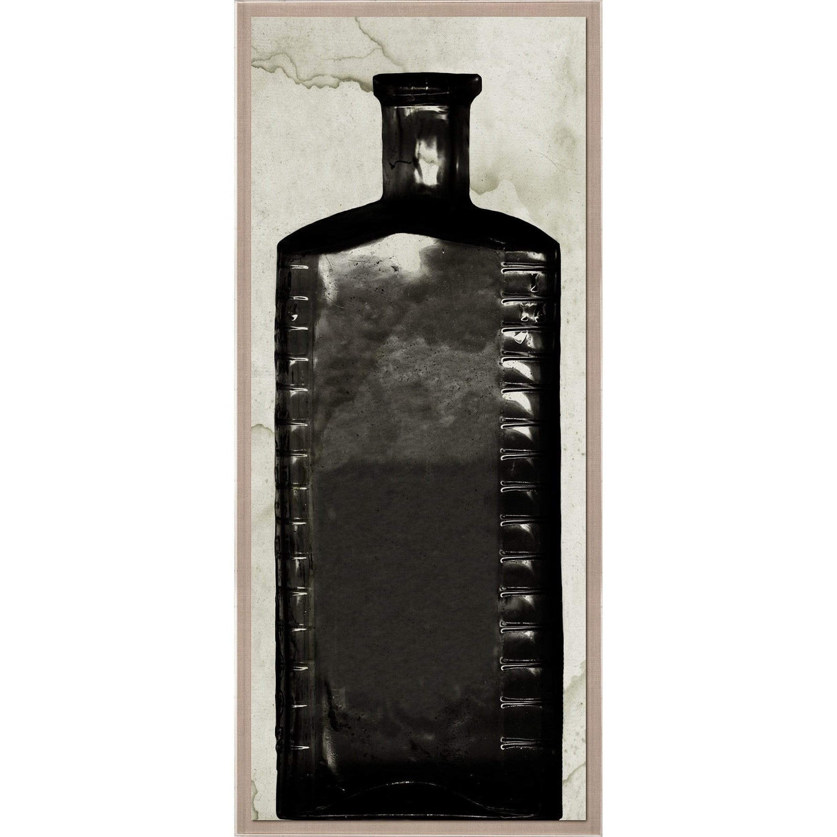 Natural Curiosities Copper Bottle 3 Pillow & Decor