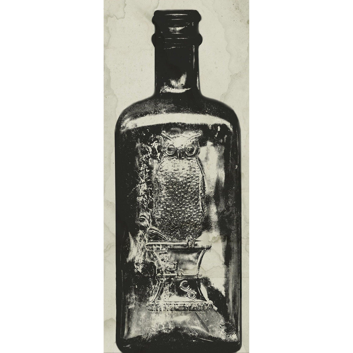 Natural Curiosities Copper Bottle 3 Pillow & Decor Natural-Curiosities-BOTT_1-Unframed