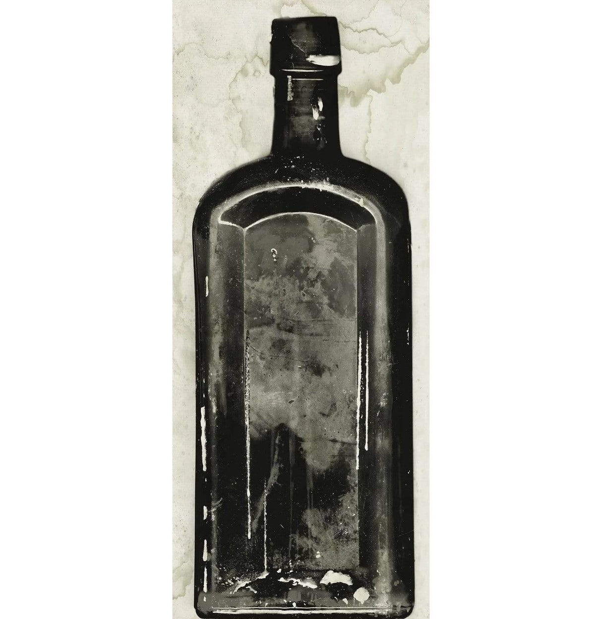 Natural Curiosities Copper Bottle 3 Pillow & Decor Natural-Curiosities-BOTT_5-Unframed