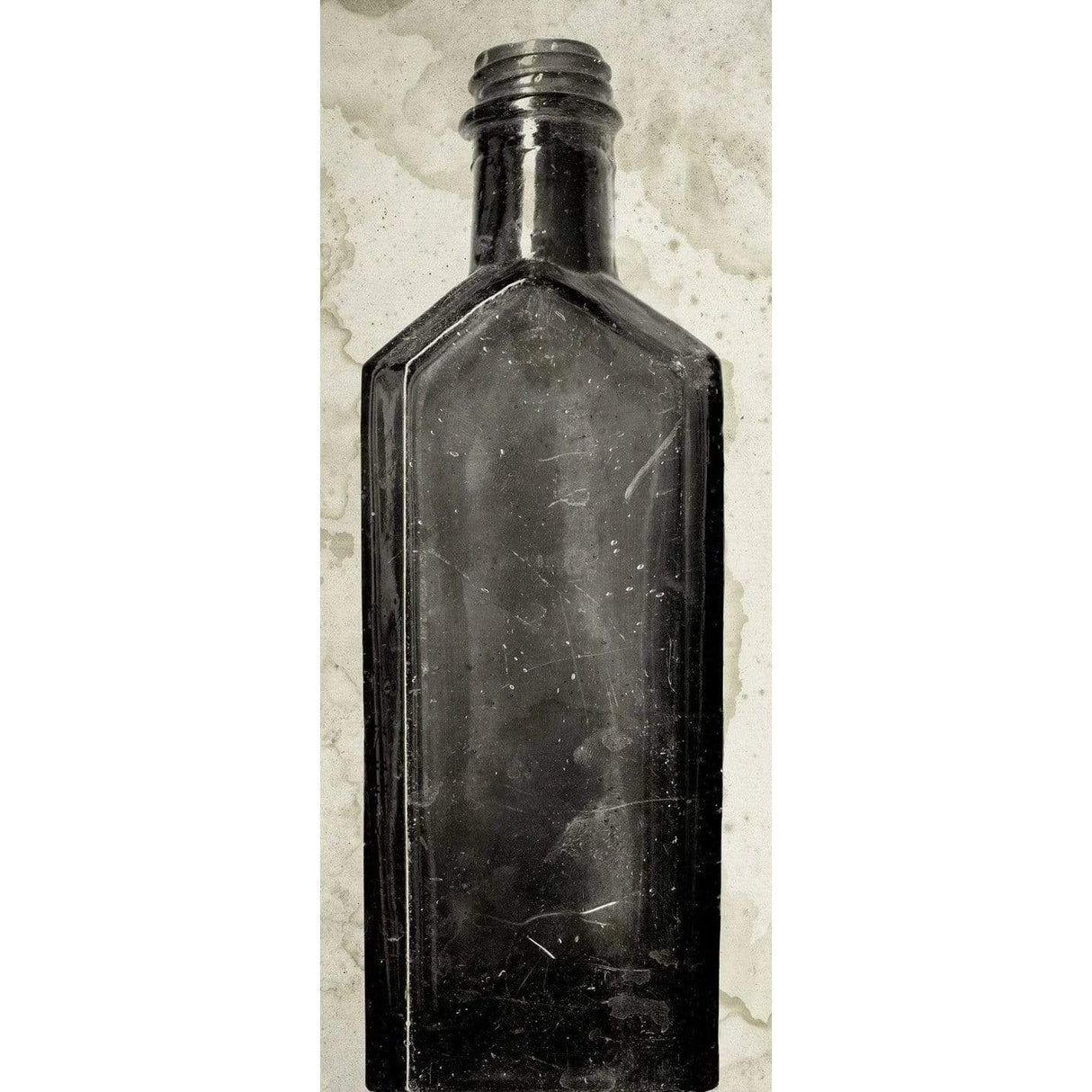 Natural Curiosities Copper Bottle 3 Pillow & Decor Natural-Curiosities-HBOTT_6-Unframed