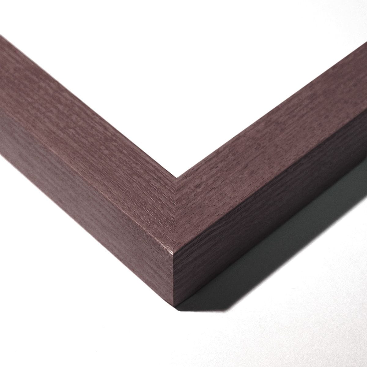 Natural Curiosities Golden Feathers Wall