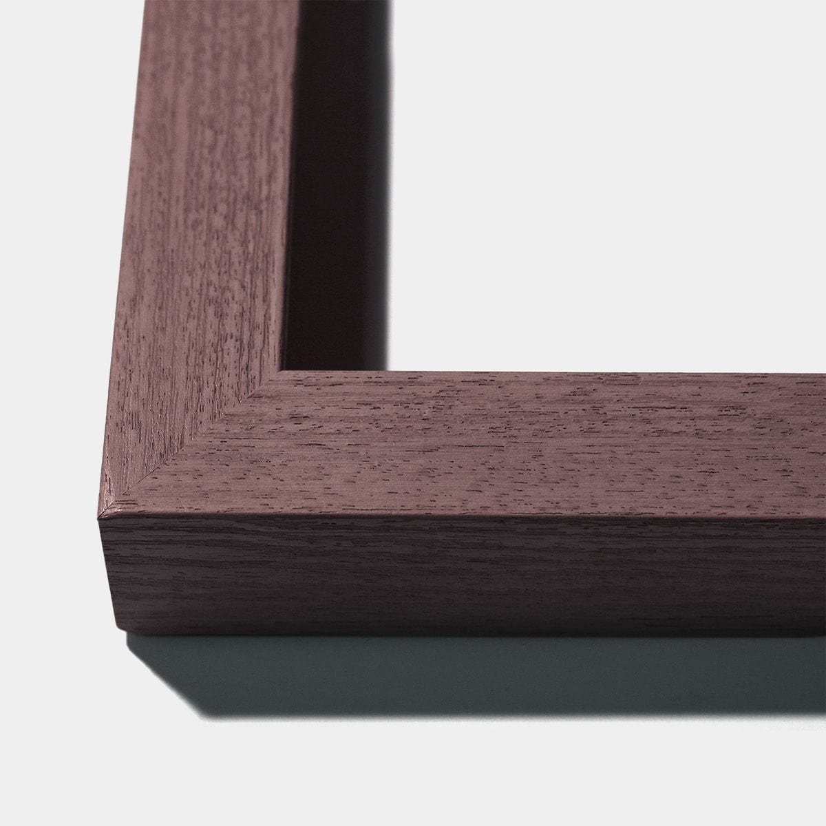 Natural Curiosities Golden Feathers Wall