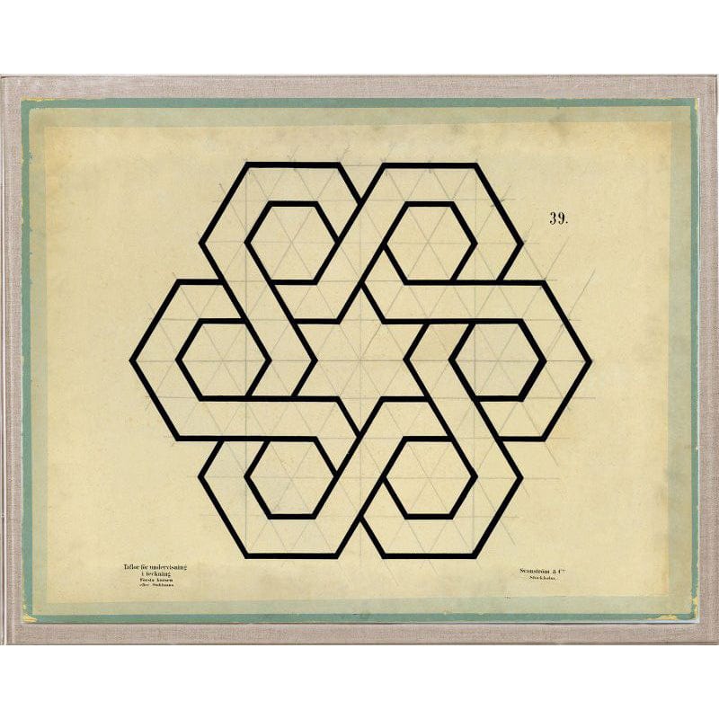 Natural Curiosities Jean Baptiste Geometrics Pillow & Decor