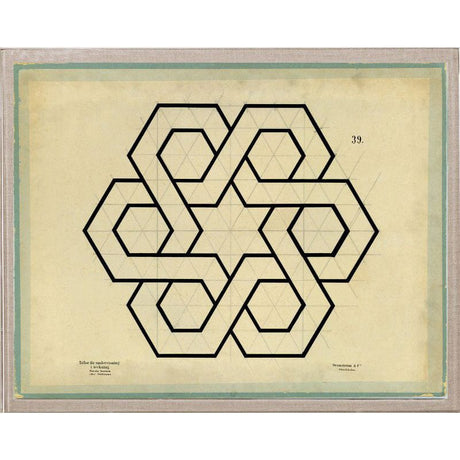 Natural Curiosities Jean Baptiste Geometrics Pillow & Decor