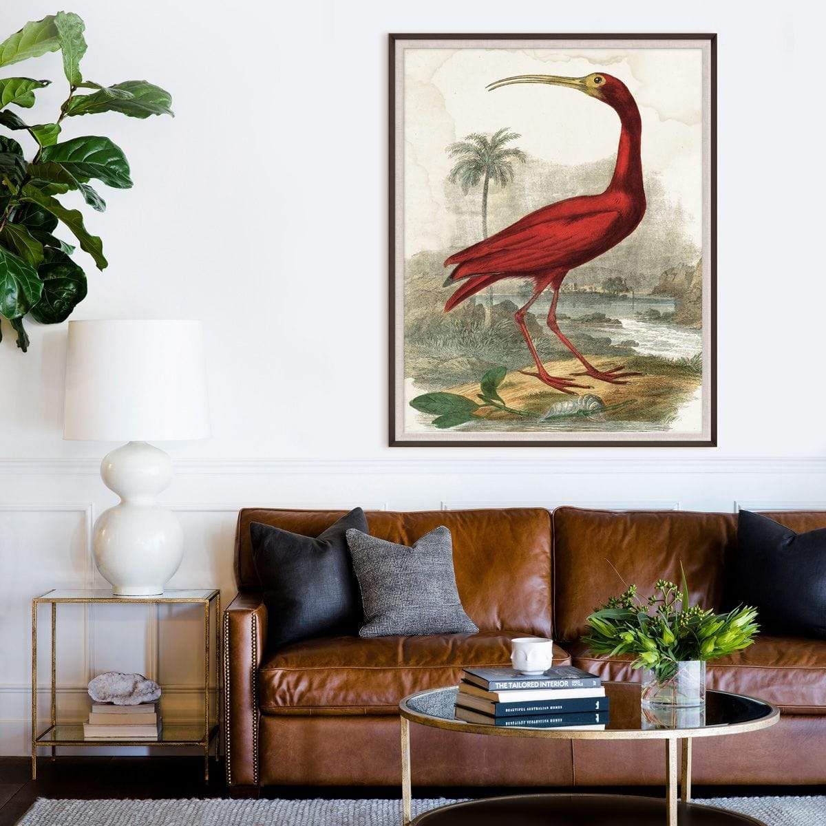 Natural Curiosities Lord Turnbull Wall