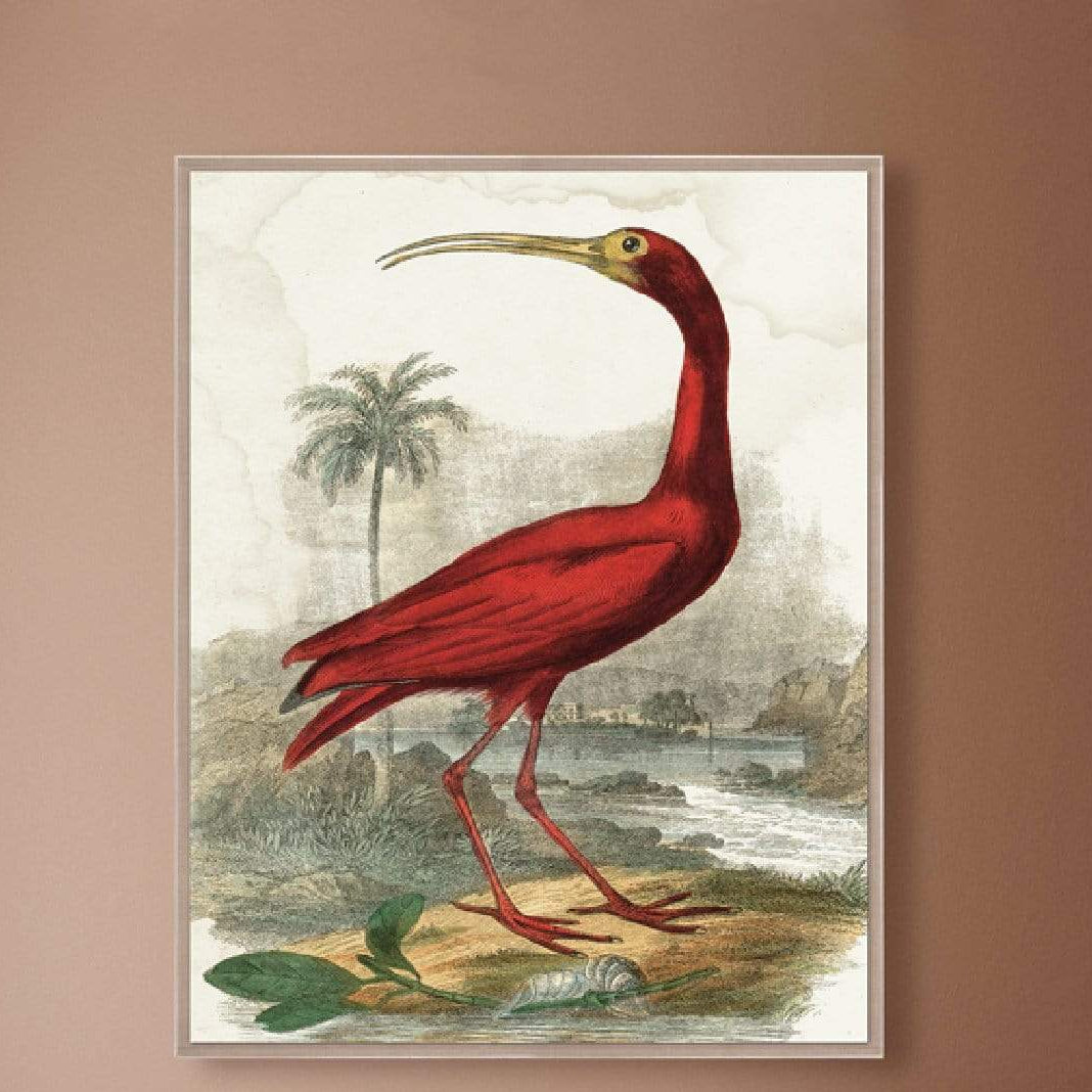 Natural Curiosities Lord Turnbull Wall