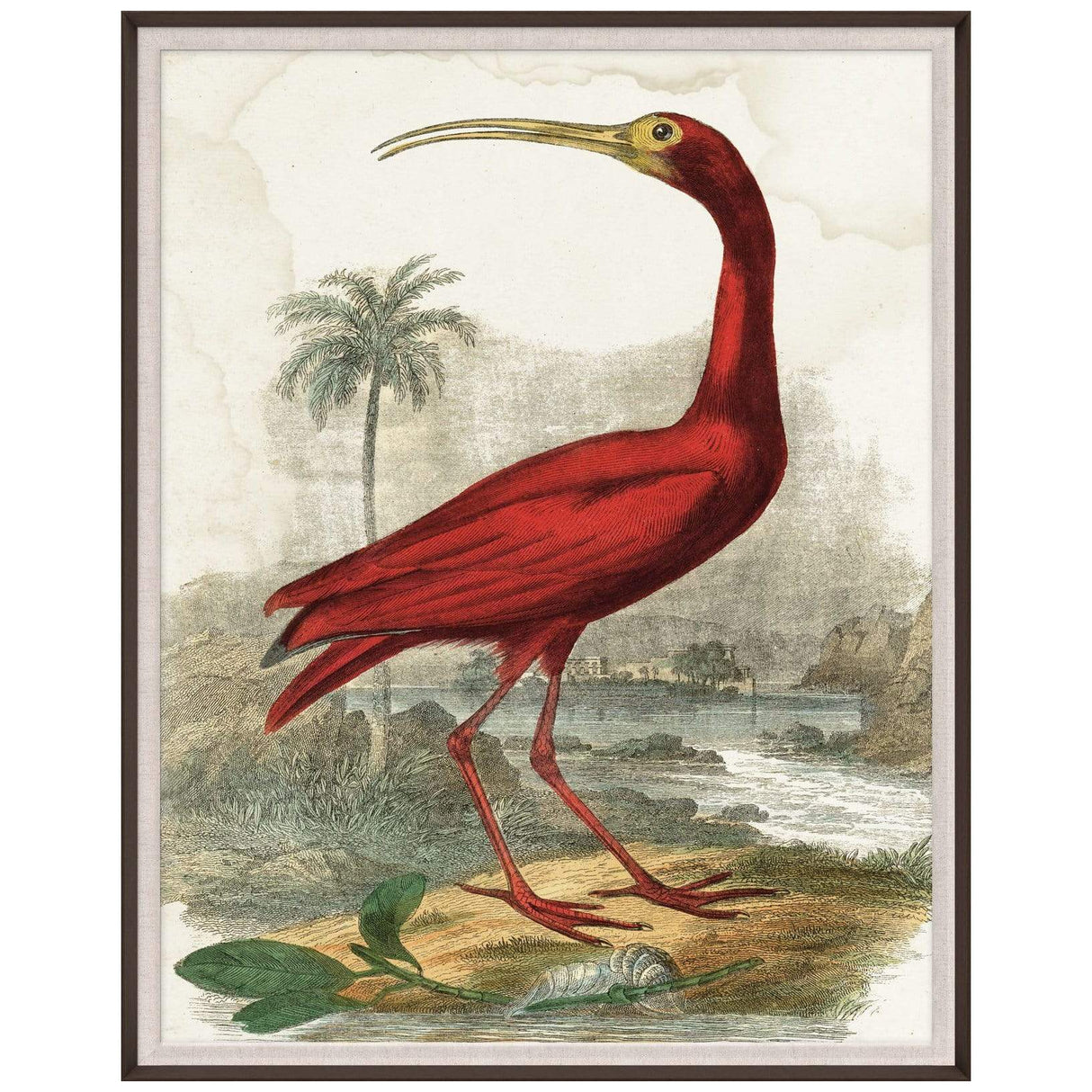 Natural Curiosities Lord Turnbull Wall natural-curiosities-lord-turnbull-wood-frame