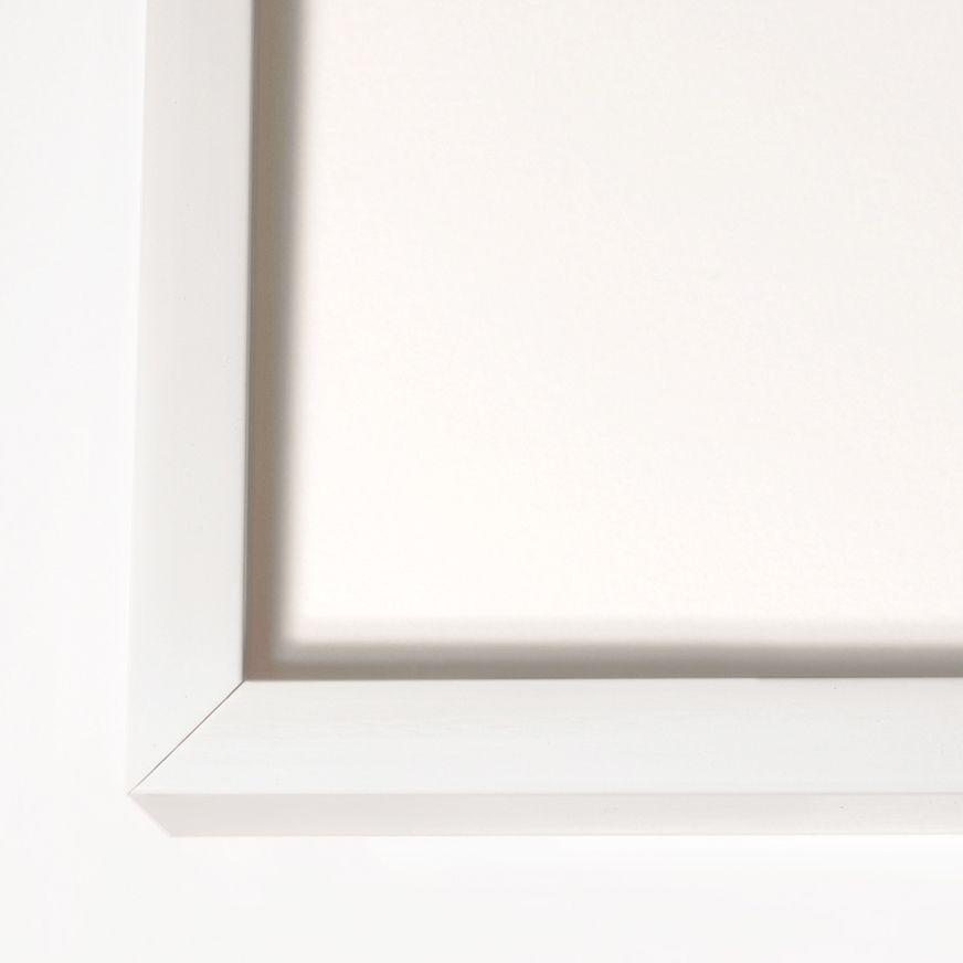 Natural Curiosities Morning Glory: Blue No. 4 Wall