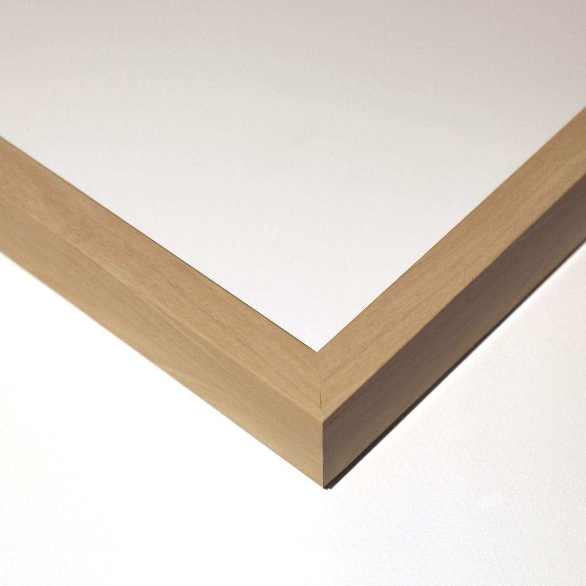 Natural Curiosities Morning Glory: Red No. 2 Wall