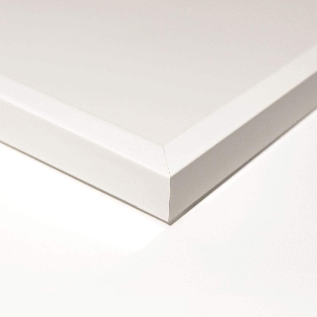 Natural Curiosities Morning Glory: Red No. 2 Wall