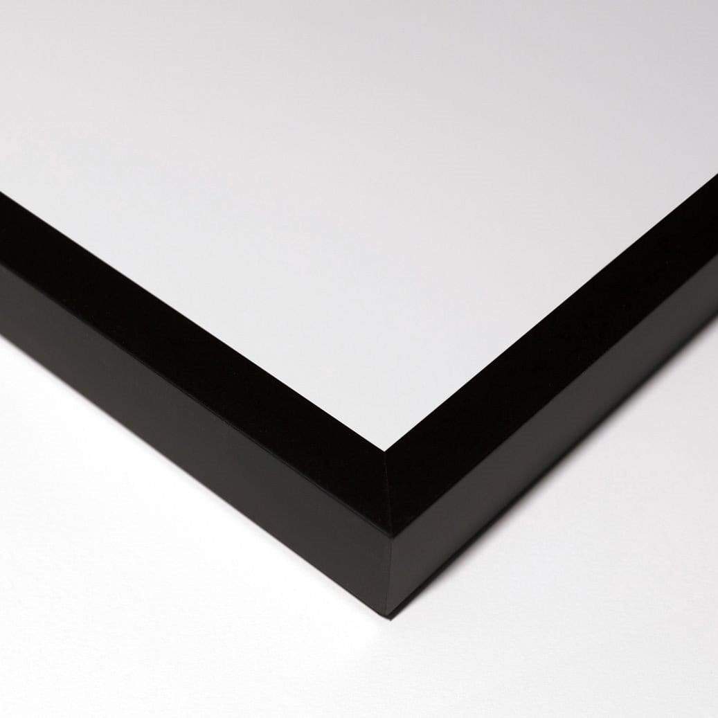 Natural Curiosities Morning Glory: Red No. 2 Wall