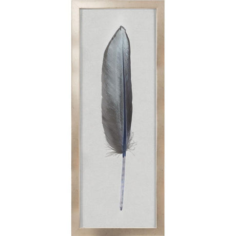 Natural Curiosities Sterling Feather 1-Unframed Decor Natural-Curiosities-Sterling-Feather-1-Unframed
