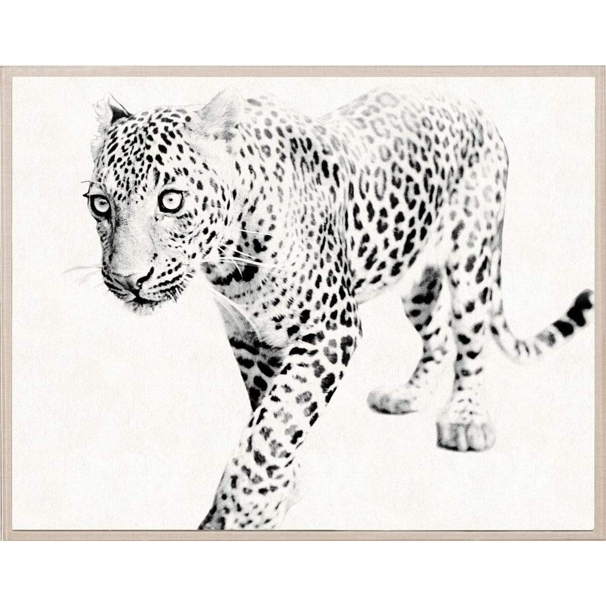 Natural Curiosities Tylinek - Unframed Decor Natural-Curiosities-TYL_LEOPARD-Unframed