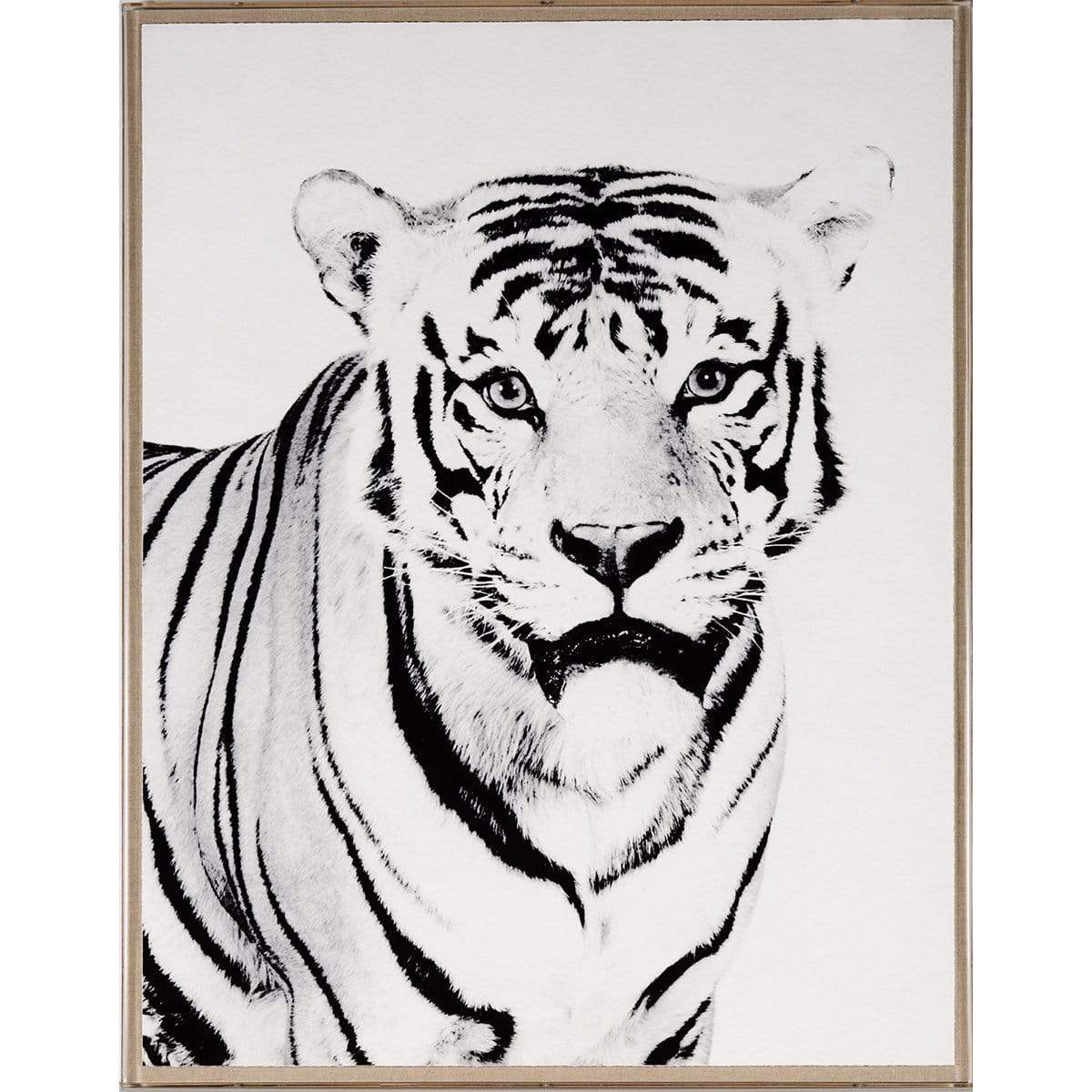 Natural Curiosities Tylinek - Unframed Decor Natural-Curiosities-TYL_TIGER-Unframed