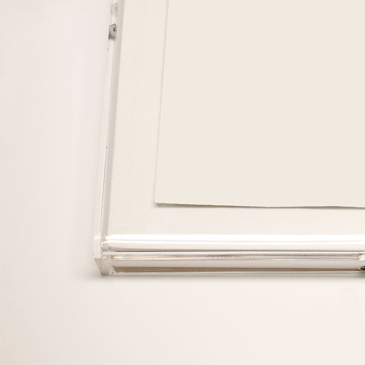 Natural Curiosities Unwind Art