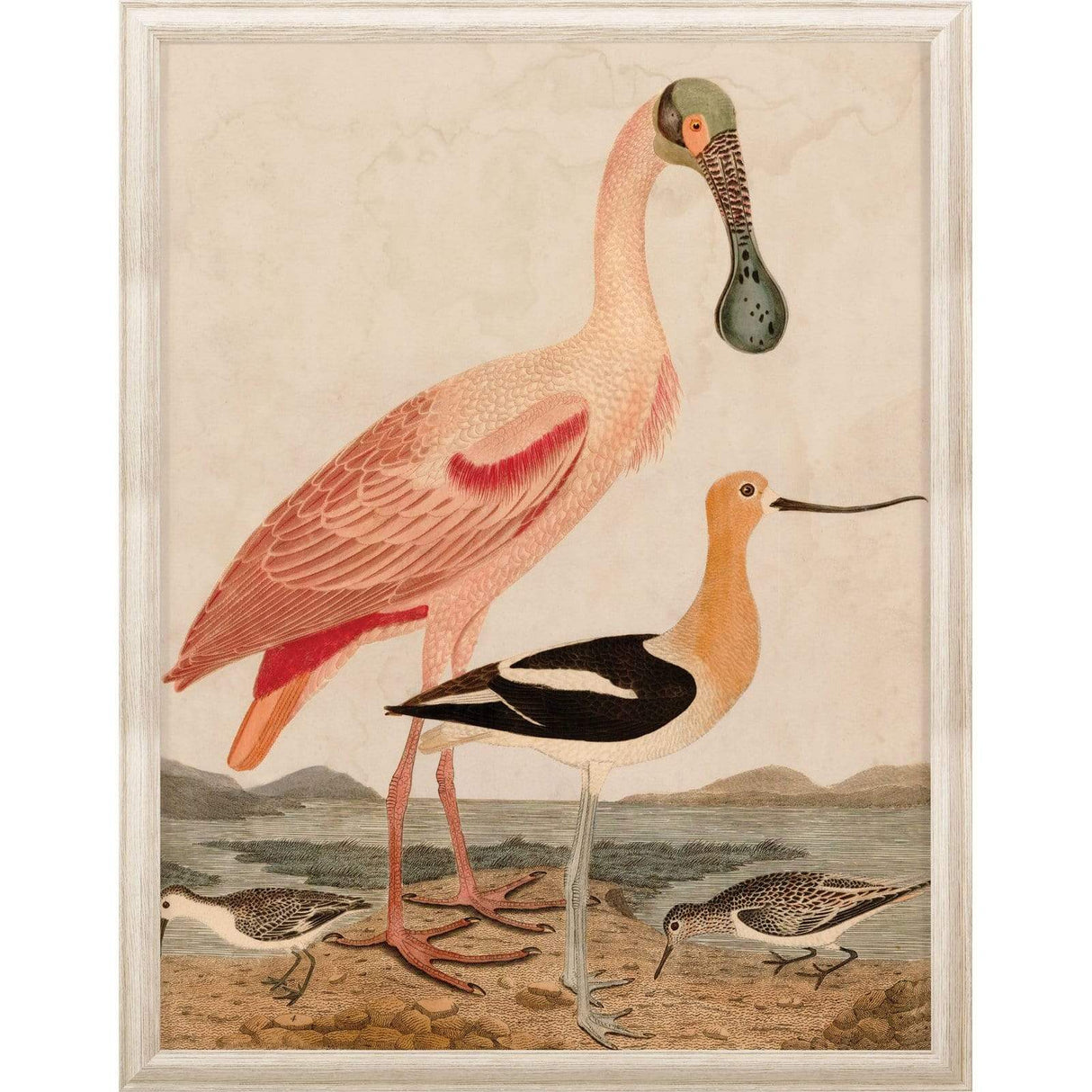 Natural Curiosities Warnicke Spoonbill-Unframed Wall natural-curiosities-warnicke-spoonbill-Unframed