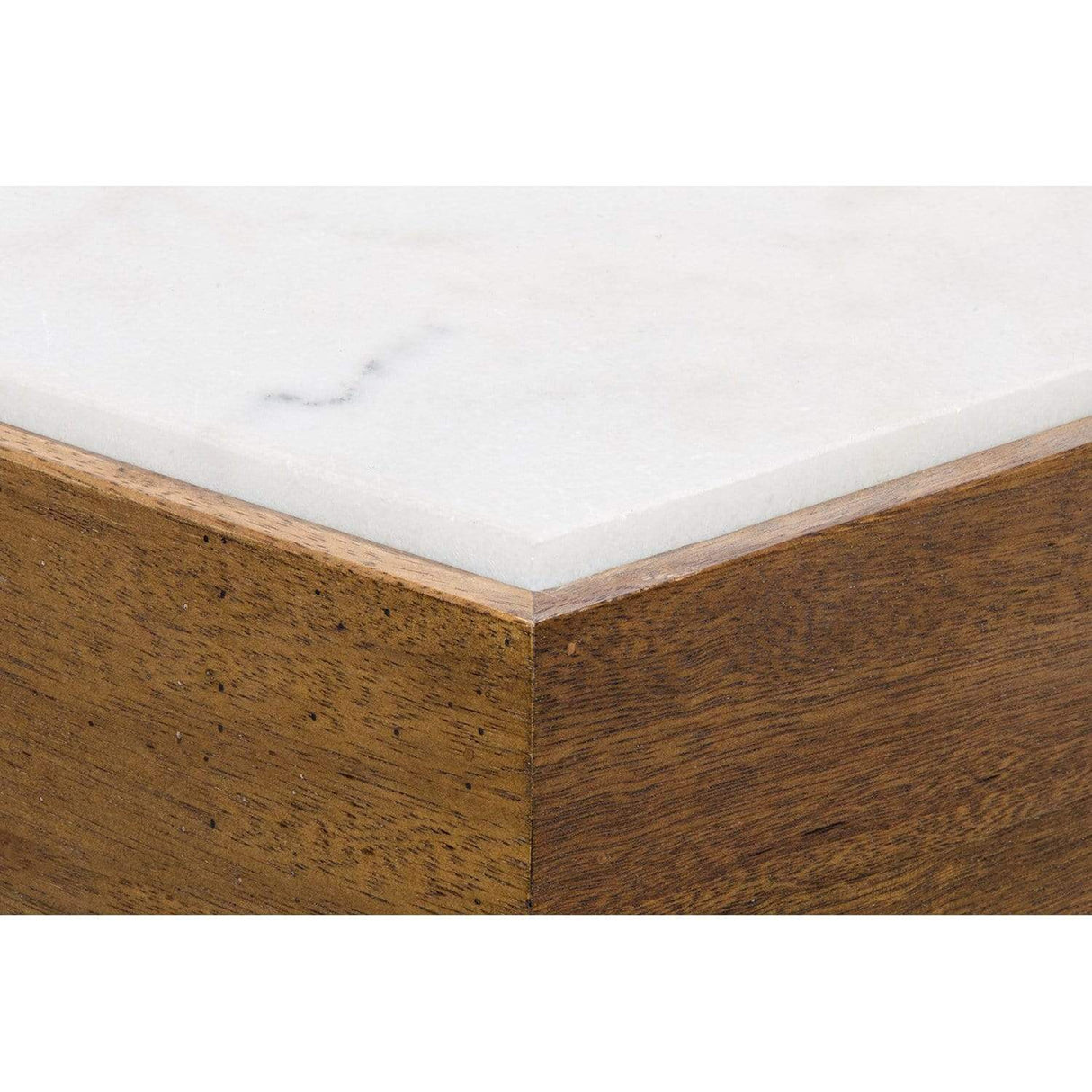 Noir Amsterdam Coffee Table Furniture noir-GTAB1024DW 00842449113732