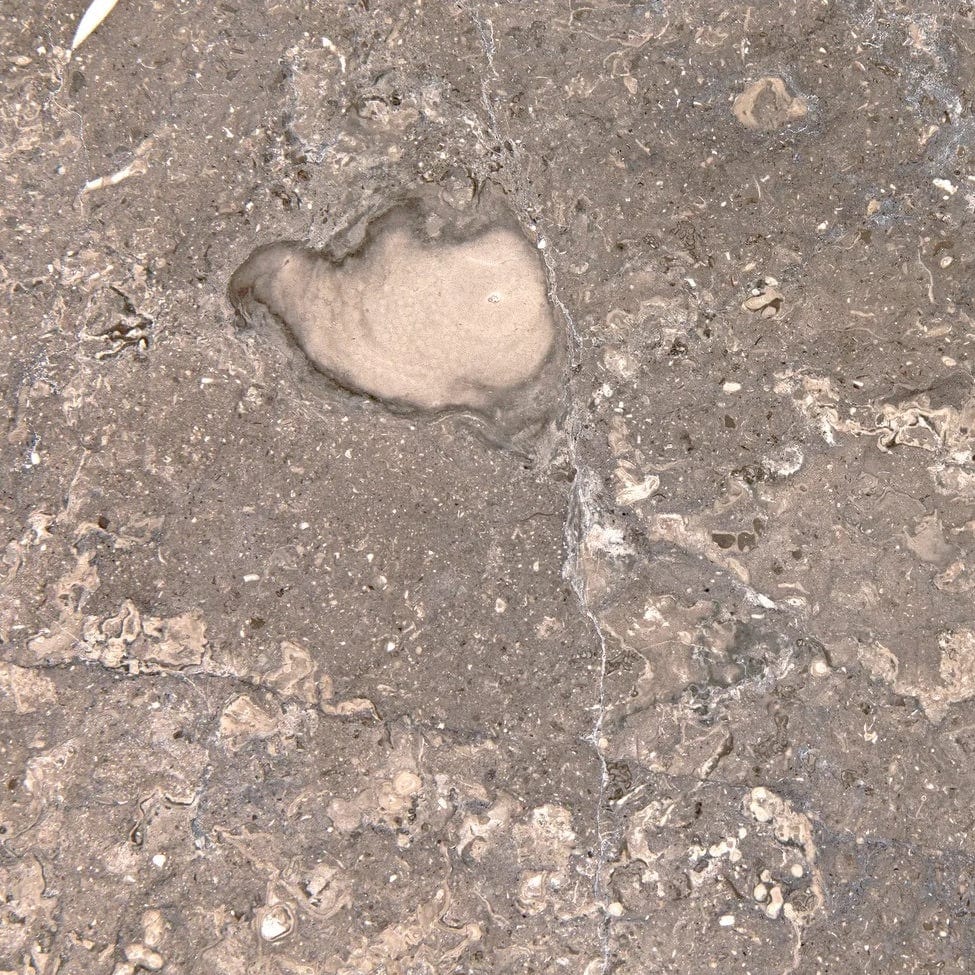 Noir Barnes Side Table Furniture noir-AM-313 00842449134256