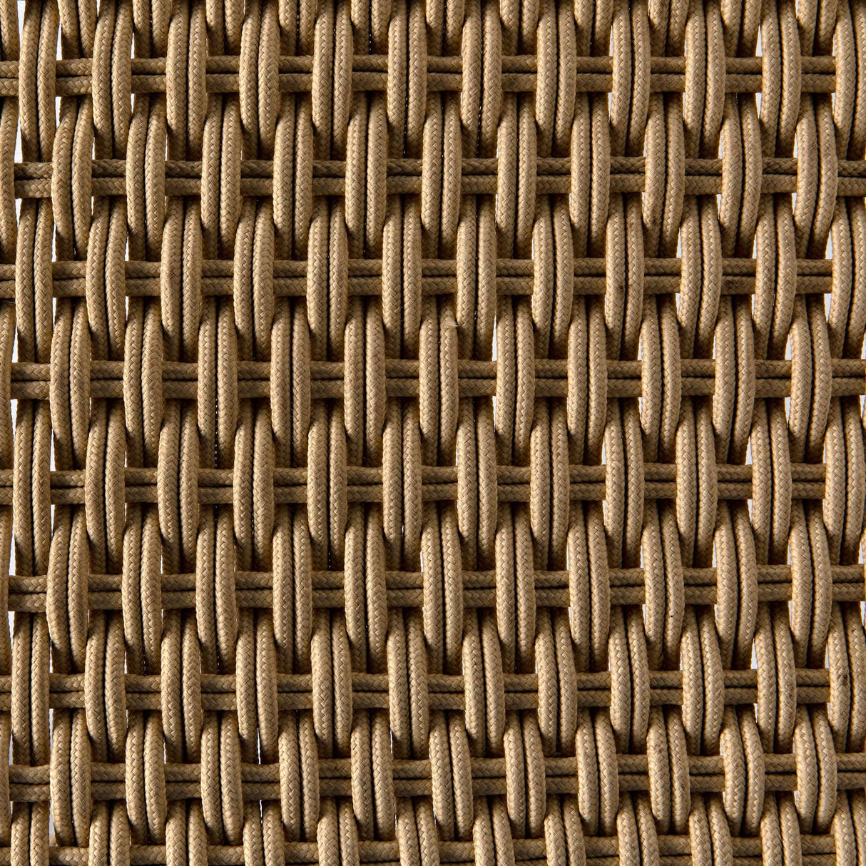 Noir Shagira Chair Furniture noir-AE-236T