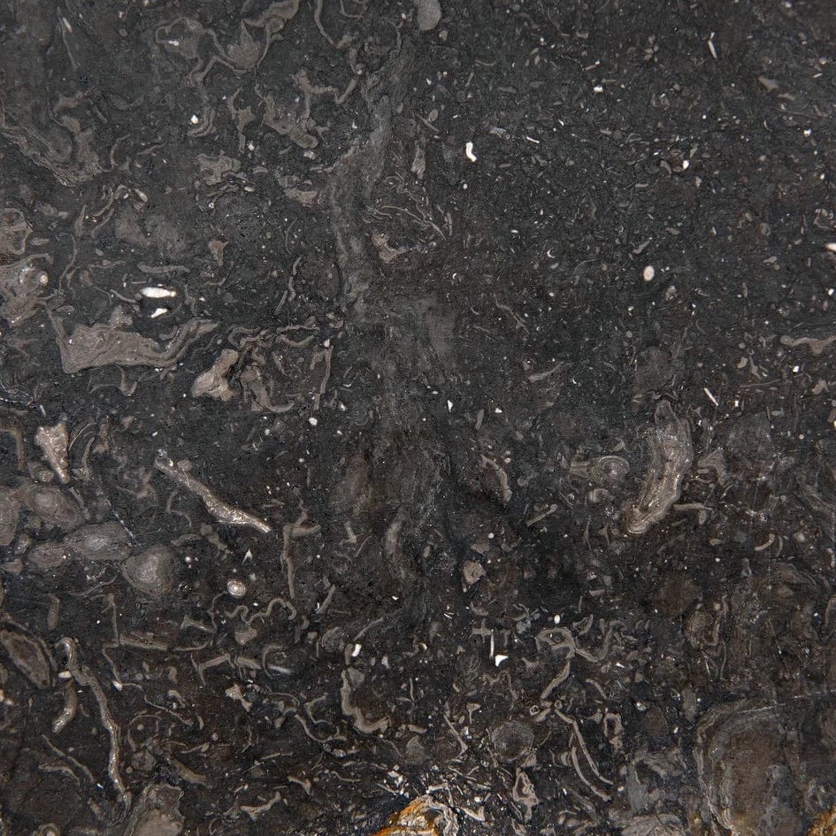 Noir Zola Vase Set Pillow & Decor noir-AM-289-2 00842449134232