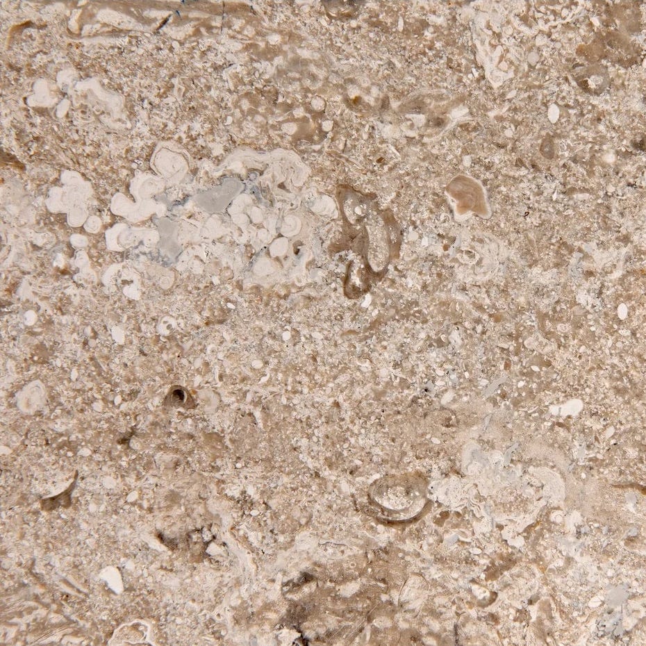 Noir Zola Vase Set Pillow & Decor noir-AM-289-2 00842449134232