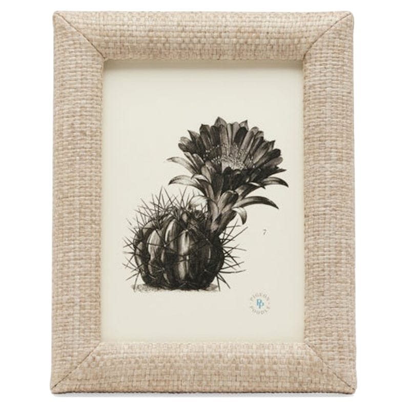 Pigeon & Poodle Belem Picture Frame Pillow & Decor