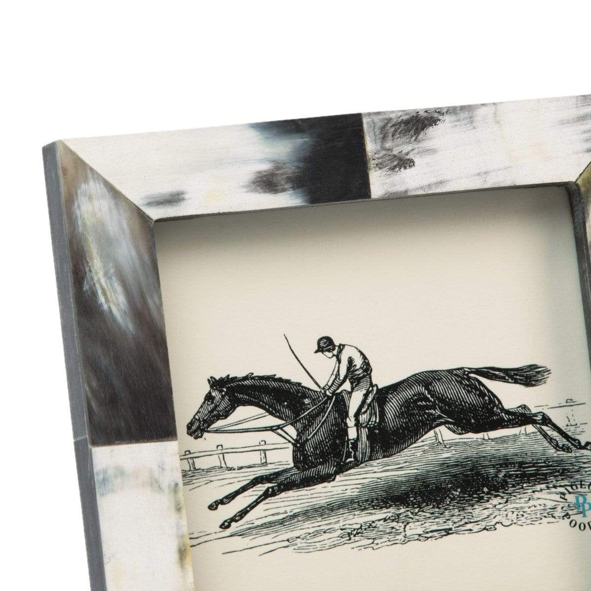 Pigeon & Poodle Essen Picture Frame Pillow & Decor