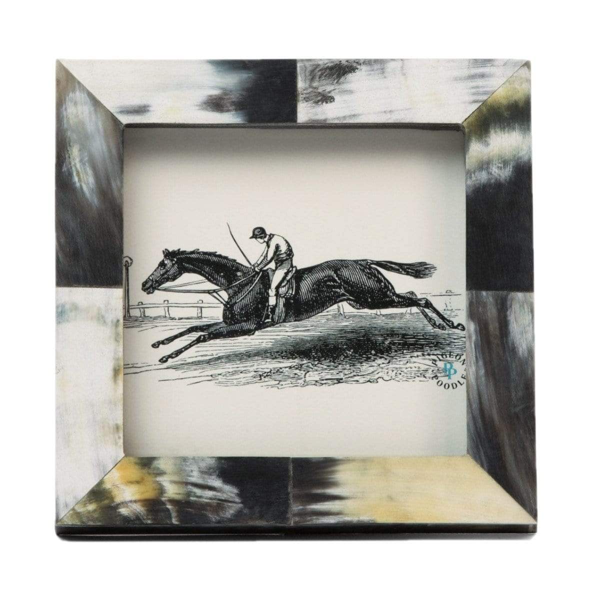 Pigeon & Poodle Essen Picture Frame Pillow & Decor