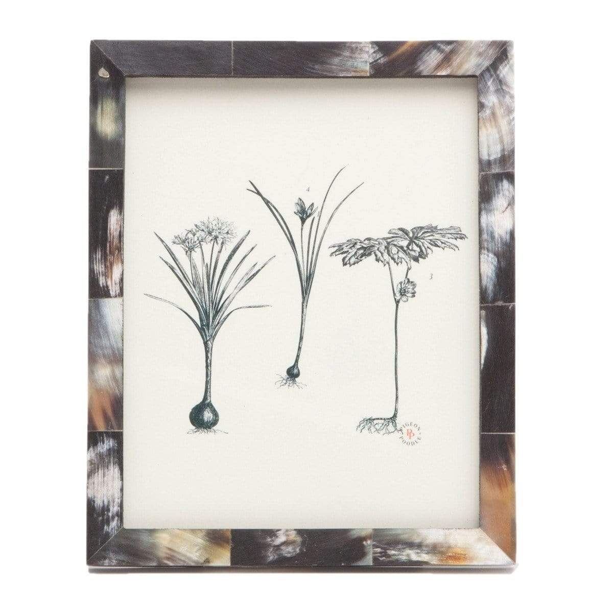 Pigeon & Poodle Essen Picture Frame Pillow & Decor pigeon-poodle-02ESSE-DKHN-8X10