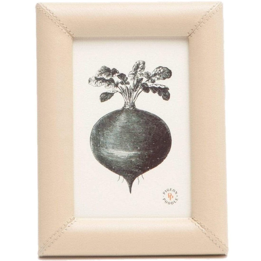 Pigeon & Poodle Eton Picture Frame Pillow & Decor pigeon-poodle-02ETON-CM-4X6 08415971516177